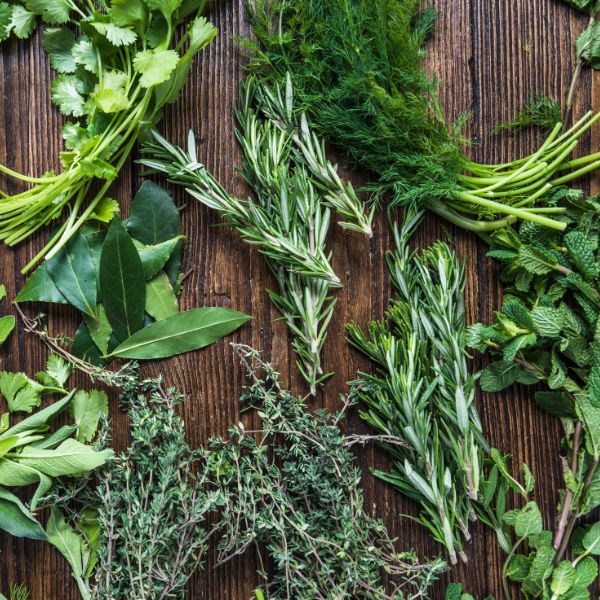 Herbes aromatiques